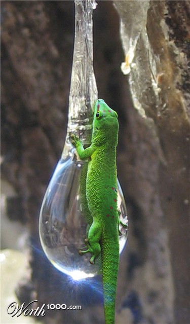 Photoshop Design by jela86