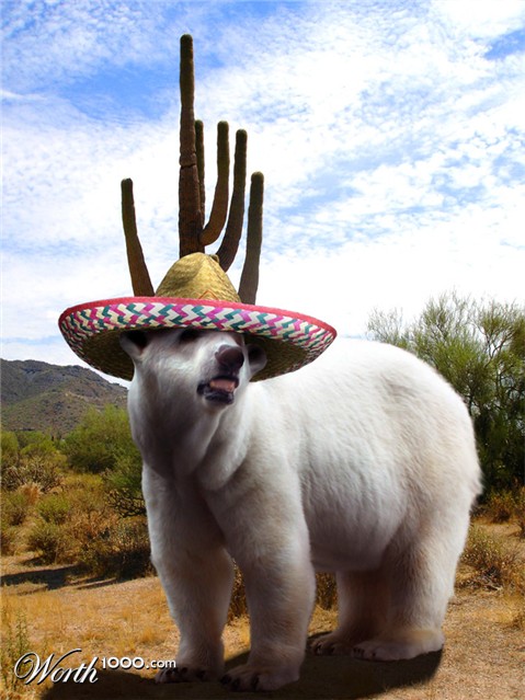 Photoshop Design by ManoleJr