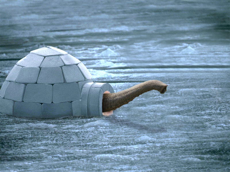 Photoshop-Design von wanderc8 für DesignCrowd (Community Contests) | Design #8999202