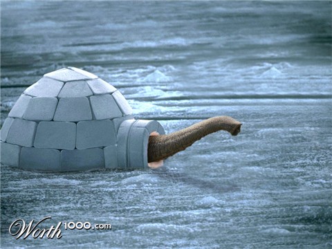 Photoshop Design by wanderc8