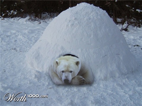 Photoshop Design by lordgilamesh