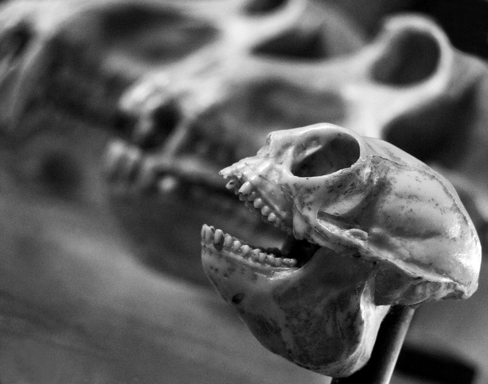 Photographie par chilledcoder pour DesignCrowd (Community Contests) | Design #9004135