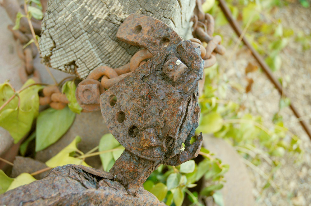 Photography by Larvice for DesignCrowd (Community Contests) | Design #9002022