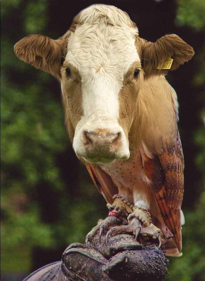 Design Photoshop par AliiXX pour DesignCrowd (Community Contests) | Design #8998393