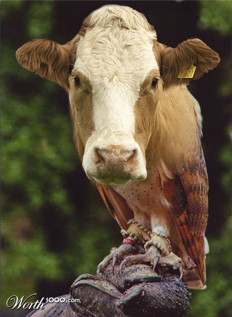 Photoshop Design by AliiXX