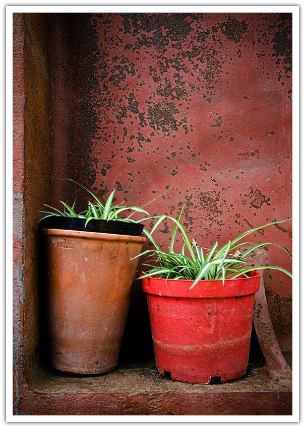 Photography by SigloV for DesignCrowd (Community Contests) | Design #8997989