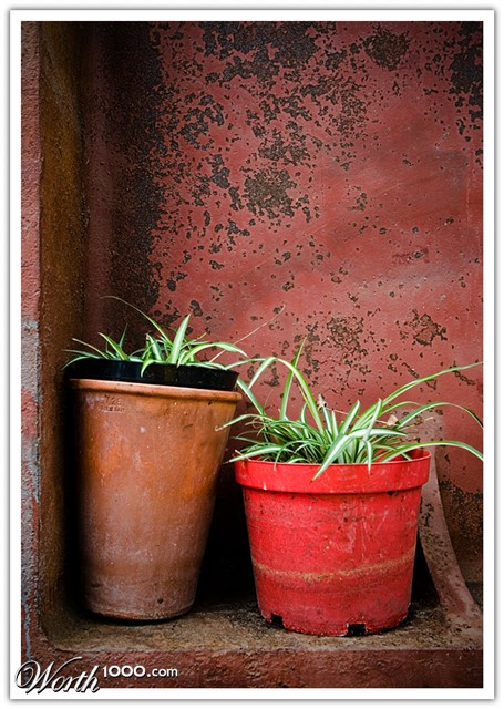 Photography by SigloV