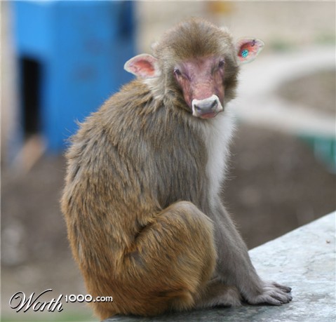 Photoshop Design by marijnpeter