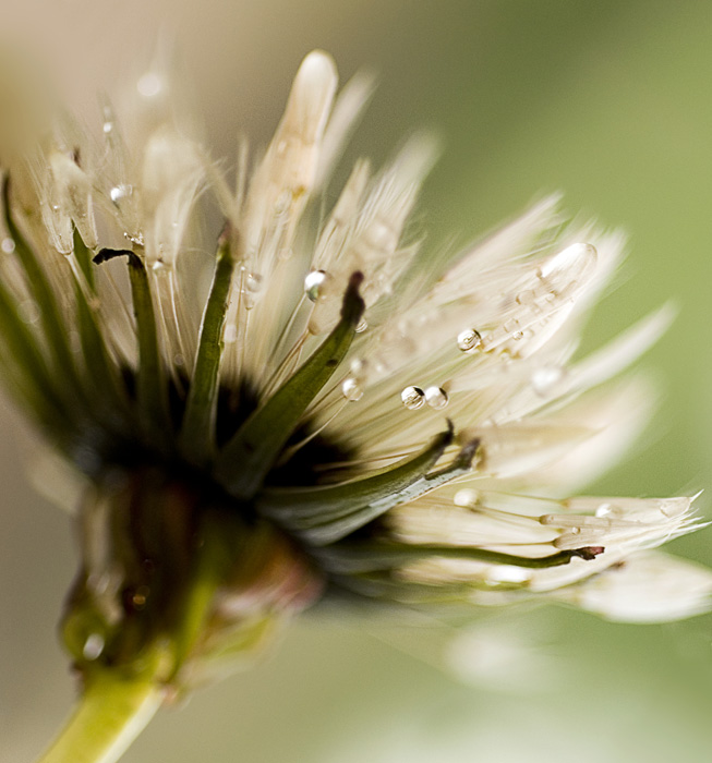 Fotografía por Marian para DesignCrowd (Community Contests) | Diseño #9004173