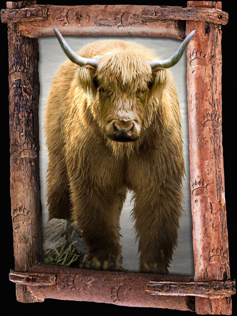 Diseño de Photoshop por damirspanja para DesignCrowd (Community Contests) | Diseño #8998391