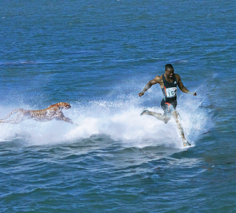 Diseño de Photoshop por trolos para DesignCrowd (Community Contests) | Diseño #8998640