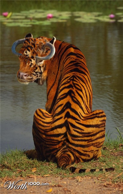 Photoshop Design by Fishwife