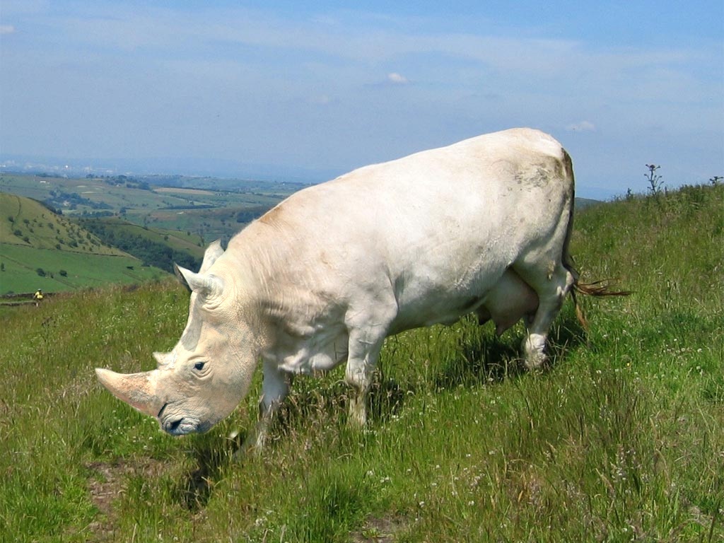 Photoshop Design by vytcheslav for DesignCrowd (Community Contests) | Design #8998401