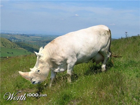 Photoshop Design by vytcheslav