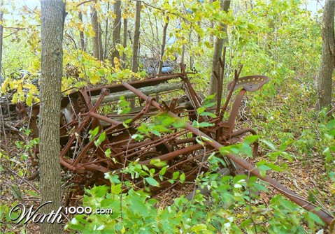 Photography by Megistus