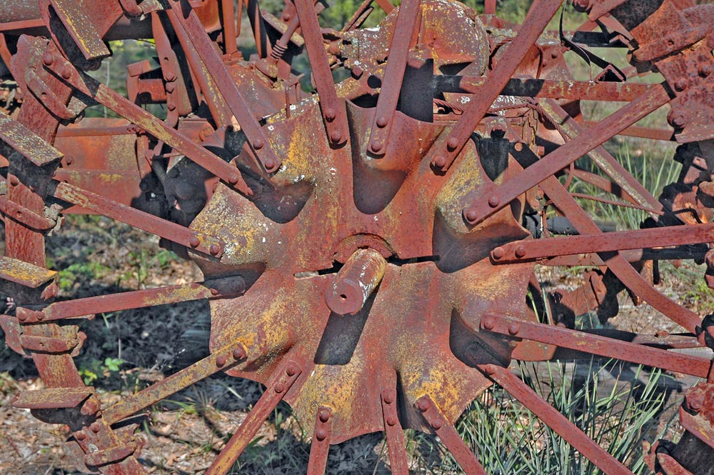 Fotografía por Lmorrow57 para DesignCrowd (Community Contests) | Diseño #9002094