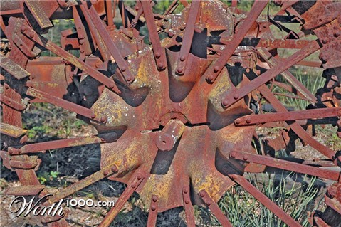 Photography by Lmorrow57