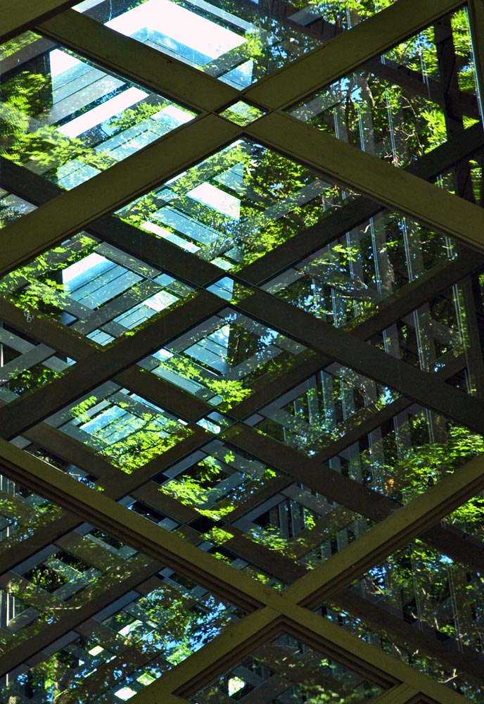 Photography by Lmorrow57 for DesignCrowd (Community Contests) | Design #9004205