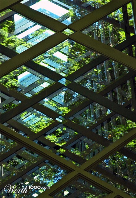 Photography by Lmorrow57