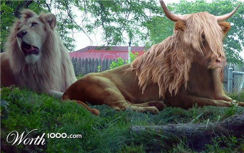 Photoshop Design by Mattagin