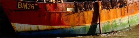 Photography by VikiBond