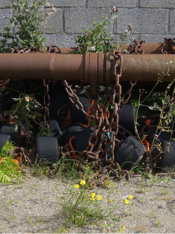 Fotografie von TuuReluur für DesignCrowd (Community Contests) | Design #9002060