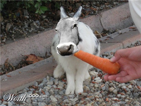 Photoshop Design by chaky