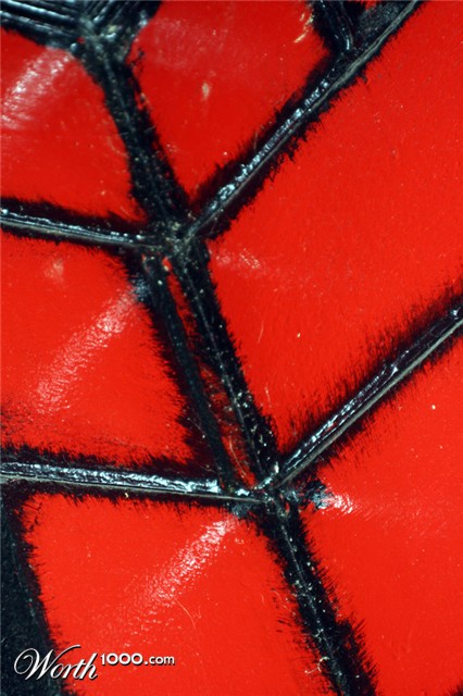 Photography by Viciousvixievenus