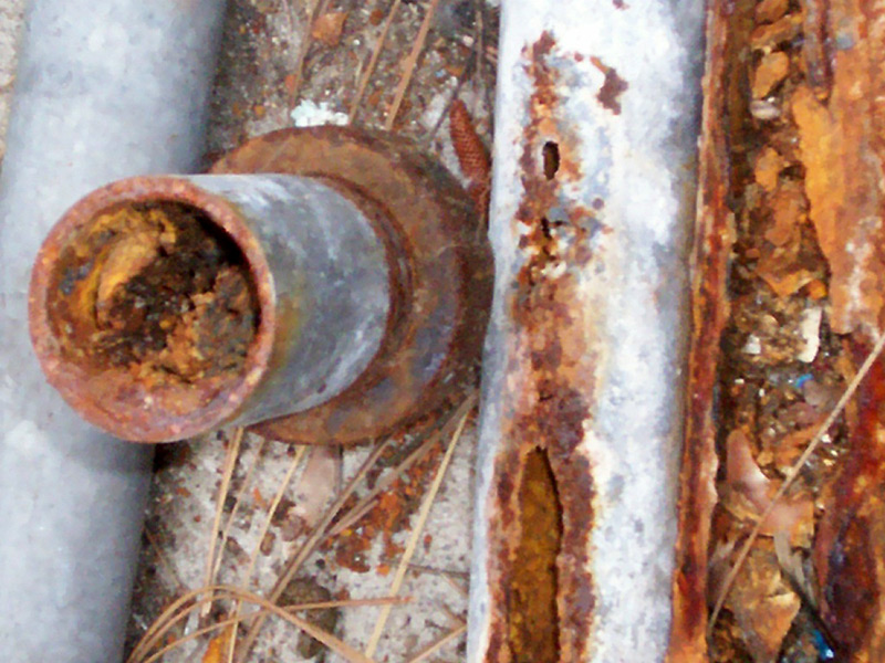 Photography by sitrop2001 for DesignCrowd (Community Contests) | Design #9002090