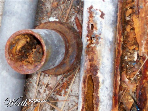 Photography by sitrop2001