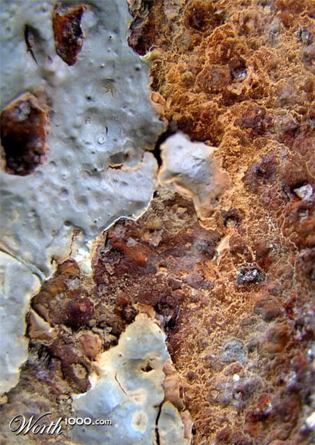 Photography by mzmzmzmz