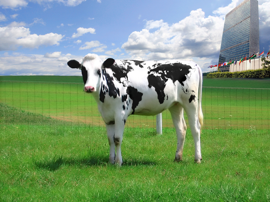 Design Photoshop par zokrukun pour DesignCrowd (Community Contests) | Design #8998547