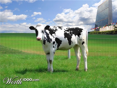 Photoshop Design by zokrukun