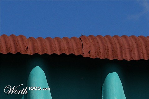 Photography by Ituzum