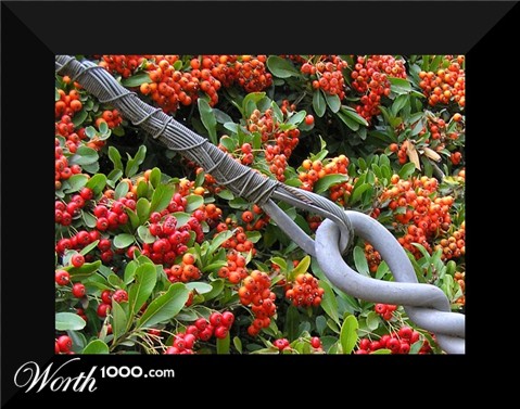 Photography by ercolano