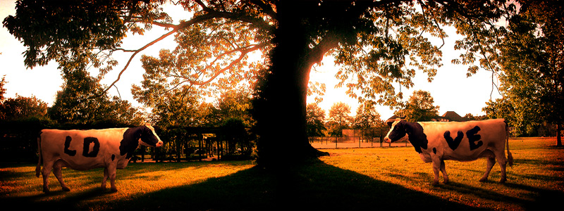 Diseño de Photoshop por ArchaicArtist para DesignCrowd (Community Contests) | Diseño #8998590