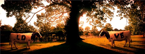 Photoshop Design by ArchaicArtist