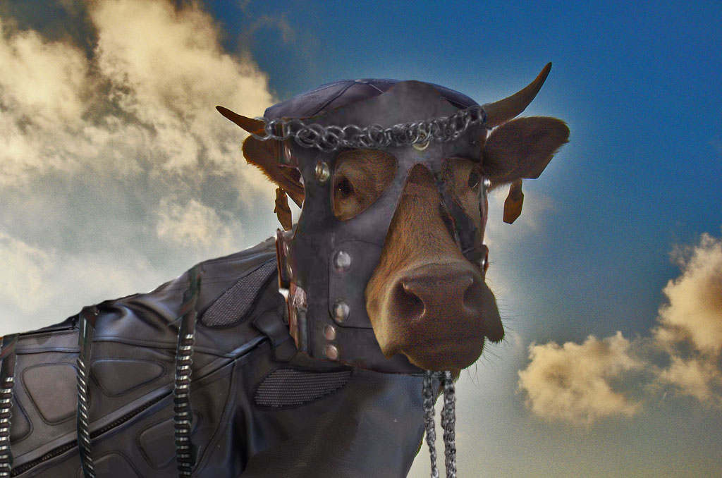 Photoshop-Design von Wolfert für DesignCrowd (Community Contests) | Design #8998541