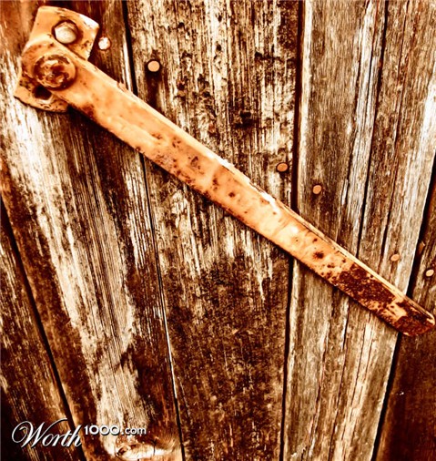 Photography by Suziecuchon