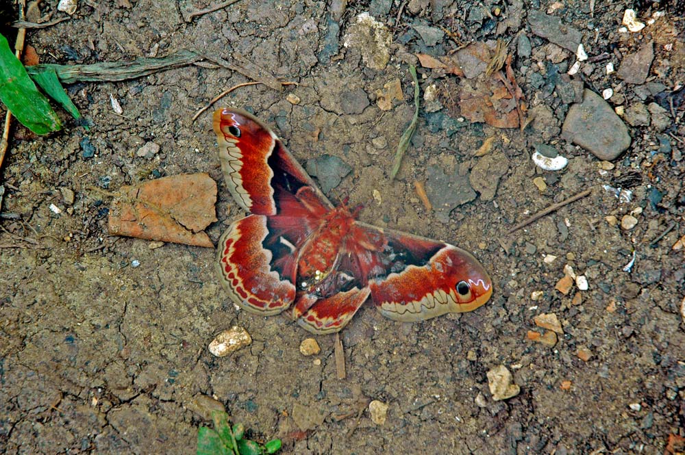 Photography by Lmorrow57 for DesignCrowd (Community Contests) | Design #8998044