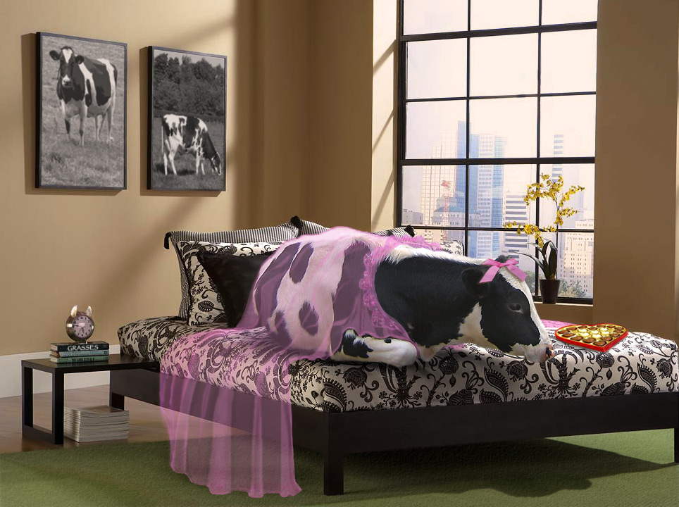 Photoshop Design by sugarcane for DesignCrowd (Community Contests) | Design #8998550