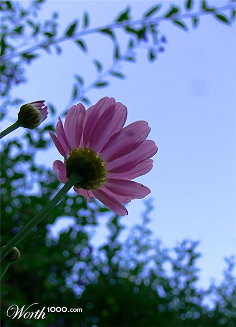 Photography by alicina