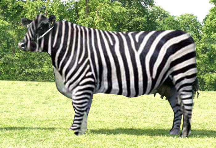 Photoshop Design by Leyatur for DesignCrowd (Community Contests) | Design #8998593