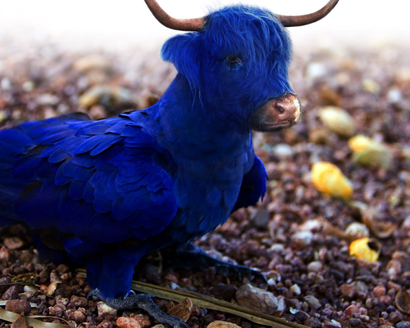 Diseño de Photoshop por Plebite para DesignCrowd (Community Contests) | Diseño #8998566