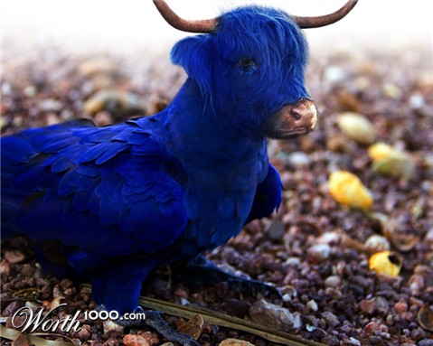 Photoshop Design by Plebite