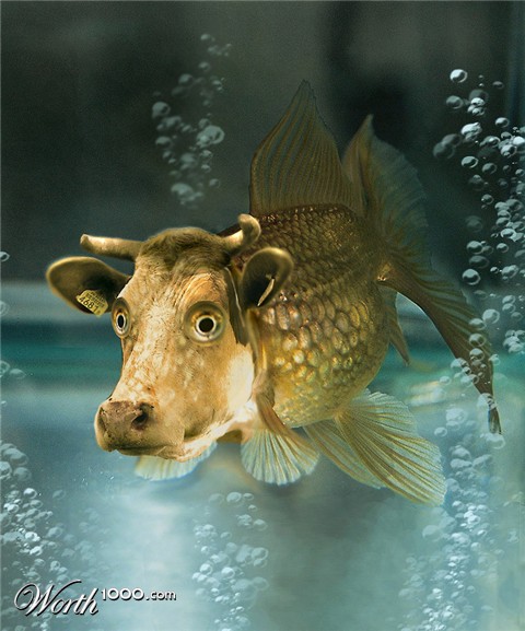 Photoshop Design by Mandrak