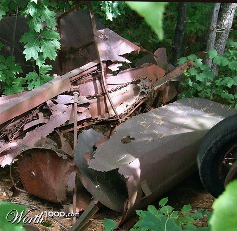 Photography by wilowwhysp