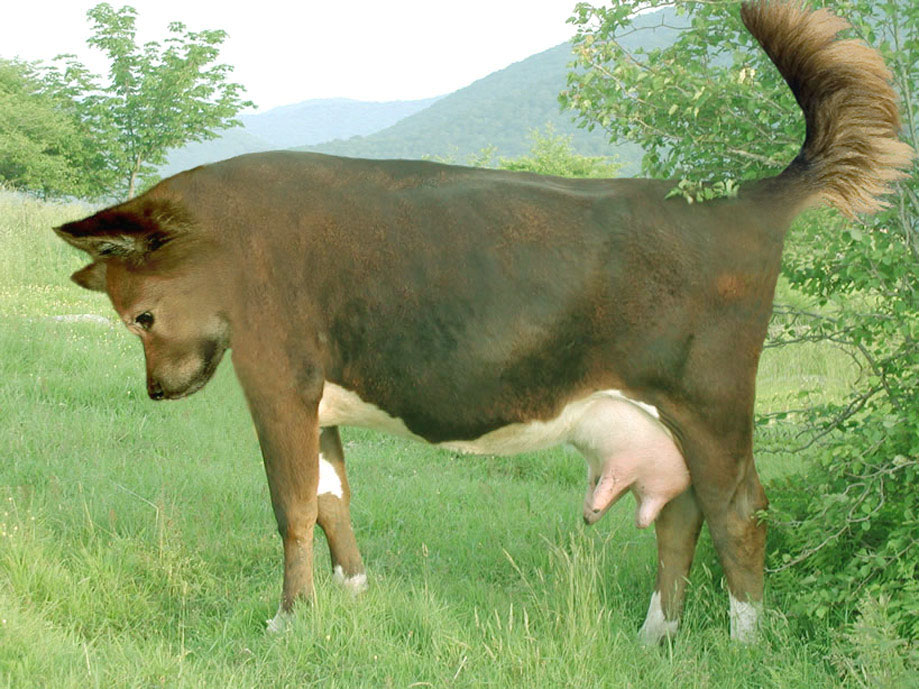 Diseño de Photoshop por aards2 para DesignCrowd (Community Contests) | Diseño #8998578