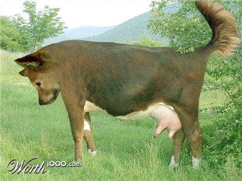 Photoshop Design by aards2