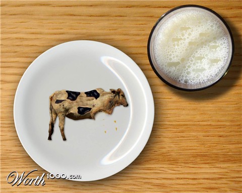 Photoshop Design by amatron
